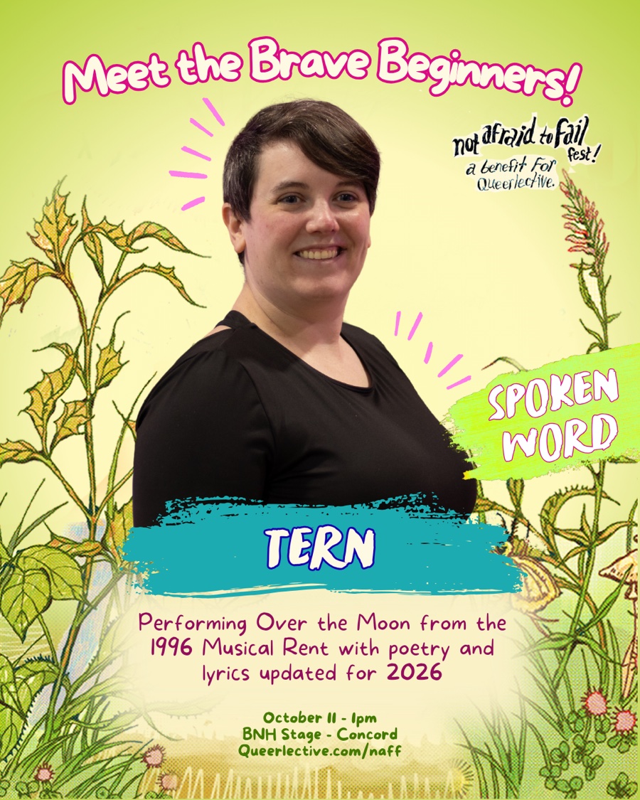 Tern official festival performer highlight